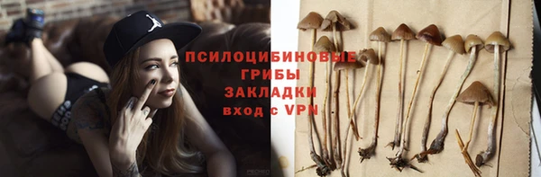 2c-b Алзамай