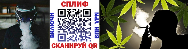 shop Telegram  Кизел  Бошки Шишки ГИДРОПОН 